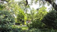 Besthoff Sculpture Garden, New Orleans, LA