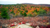 Blue Hills Reservation, Milton, MA