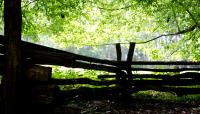 Booker T. Washington National Monument, Moneta, VA