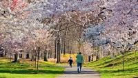 Branch Brook Park, Newark, NJ 