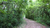 Brechtel Park, New Orleans, LA