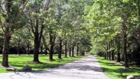 Brendonwood Common Historic District, Indianapolis, IN