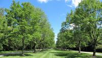 Brendonwood Common Historic District, Indianapolis, IN