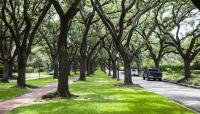 Broadacres Historic District, Houston, TX