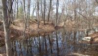 Brook Farm, West Roxbury, MA