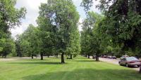 Bidwell Parkway, Buffalo, NY