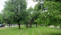 Bidwell Parkway, Buffalo, NY