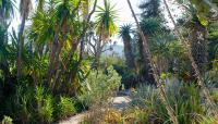 Photo by Matthew Traucht::2014::The Cultural Landscape Foundation
