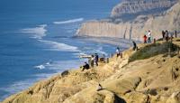 Torrey Pines State Natural Reserve, San Diego, CA 