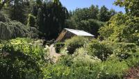 VanDusen Botanic Garden, Vancouver, British Columbia, CA