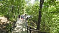 Mount Royal, Montreal, Quebec, Canada