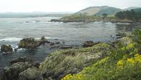 Point Lobos, California State Parks System, CA