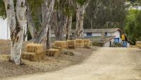 Leo Carrillo Ranch Historic Park, Carlsbad, CA