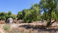 San Pasqual Battlefield State Historic Park, Escondido, CA