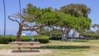 Kellogg Park, La Jolla, CA