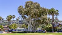 Kellogg Park, La Jolla, CA