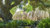 Lotusland, Montecito, CA