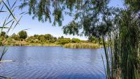 Guajome Regional Park, Oceanside, CA