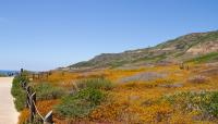 Cabrillo National Monument, San Diego, CA