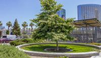 Children's Park, San Diego, CA