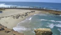 Children's Pool, San Diego, CA