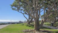 Embarcadero Marina Park, San Diego, CA