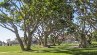 Embarcadero Marina Park, San Diego, CA