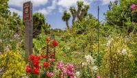 Old Town San Diego State Historical Park, San Diego, CA