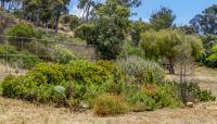 Presidio Hills Golf Course, San Diego, CA