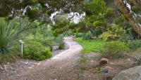 San Diego Botanic Garden, Encinitas, CA