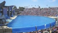 SeaWorld, San Diego, CA