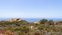 Torrey Pines State Natural Reserve, San Diego, CA