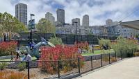 Joe DiMaggio Playground, San Francisco, CA