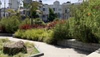 Joe DiMaggio Playground, San Francisco, CA