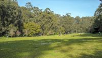 Pine Lake Park, San Francisco, CA