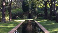 Blake Garden, Kensington, CA