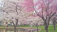 Bushnell Park, Hartford, CT