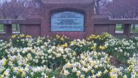 Bushnell Park, Hartford, CT