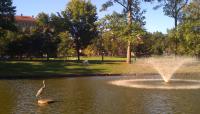 Bushnell Park, Hartford, CT