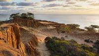 Torrey Pines State Natural Reserve, San Diego, CA 