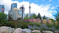 Canadian National Tower, Toronto, ON