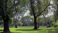 Cazenovia Park, Buffalo, NY 