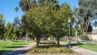 Central Park, Pasadena, CA - Photo by Kevin Johnson::2014::The Cultural Landscape Foundation