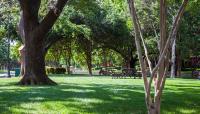 Central Square Park, Dallas, TX