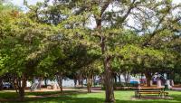 Central Square Park, Dallas, TX