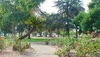 Central Park, Pasadena, CA - Photo by Matthew Traucht::2014::The Cultural Landscape Foundation