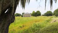 Chalmette Battlefield, New Orleans, LA