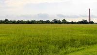 Chalmette Battlefield, New Orleans, LA