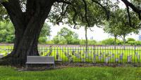 Chalmette Battlefield, New Orleans, LA