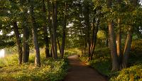 Photo courtesy of Chicago Botanic Garden:: ::The Cultural Landscape Foundation